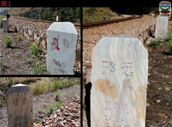 袋熊肥胖的体型源自于它们吃草的习惯