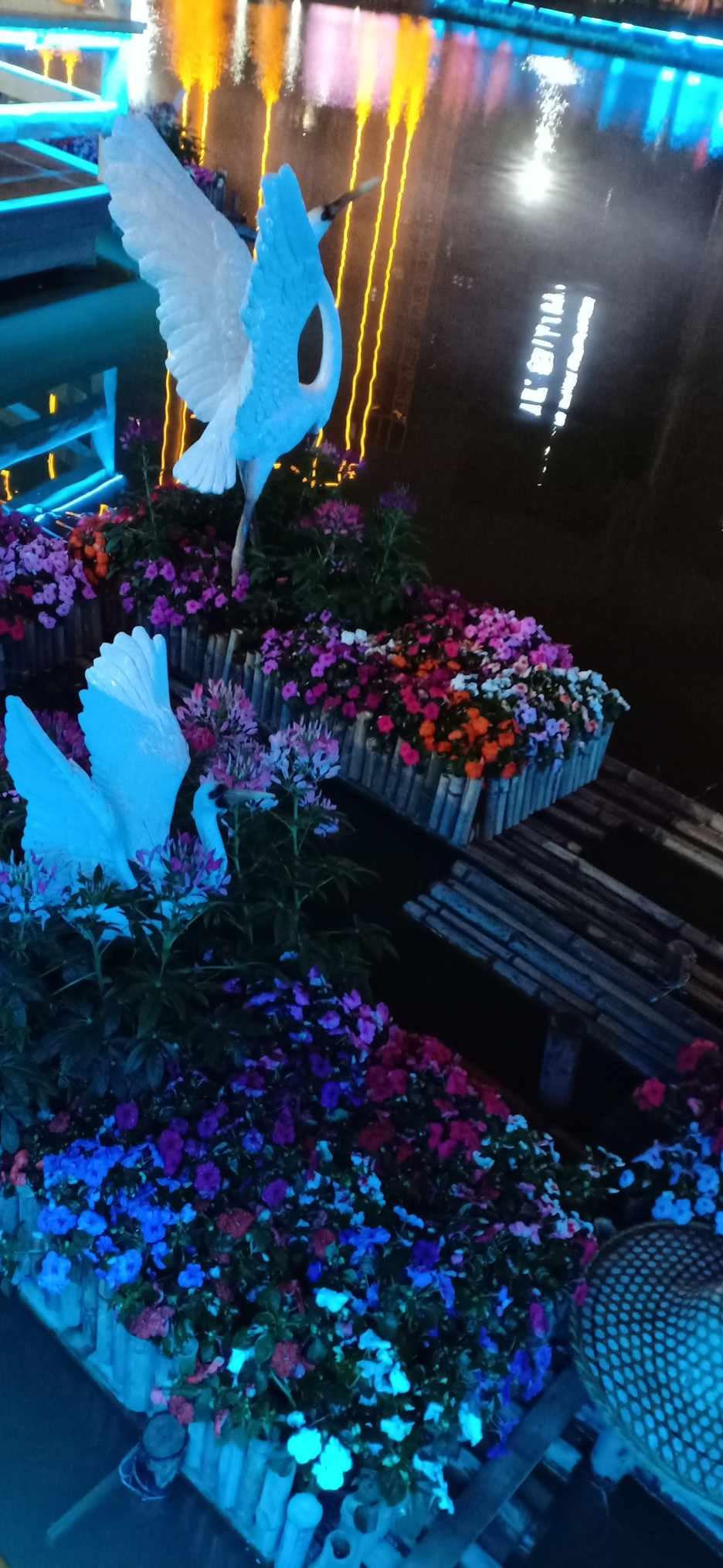 小猫钓鱼游戏龙王版有船